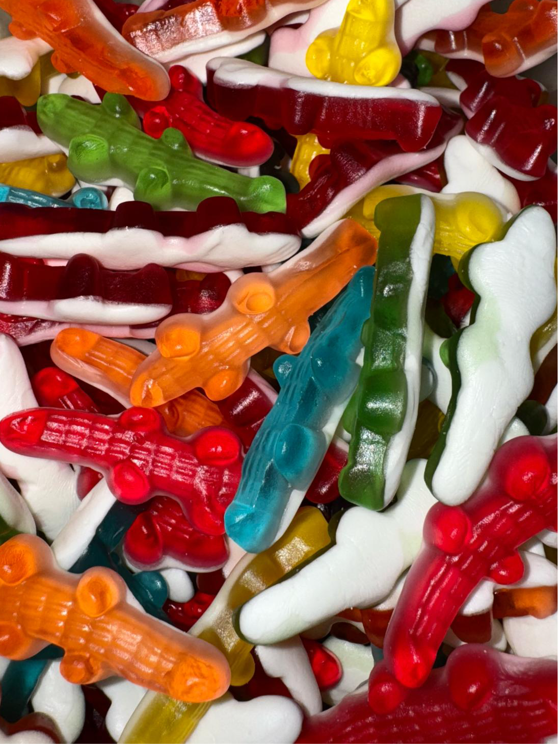 Crocodile lisse haribo / 100g