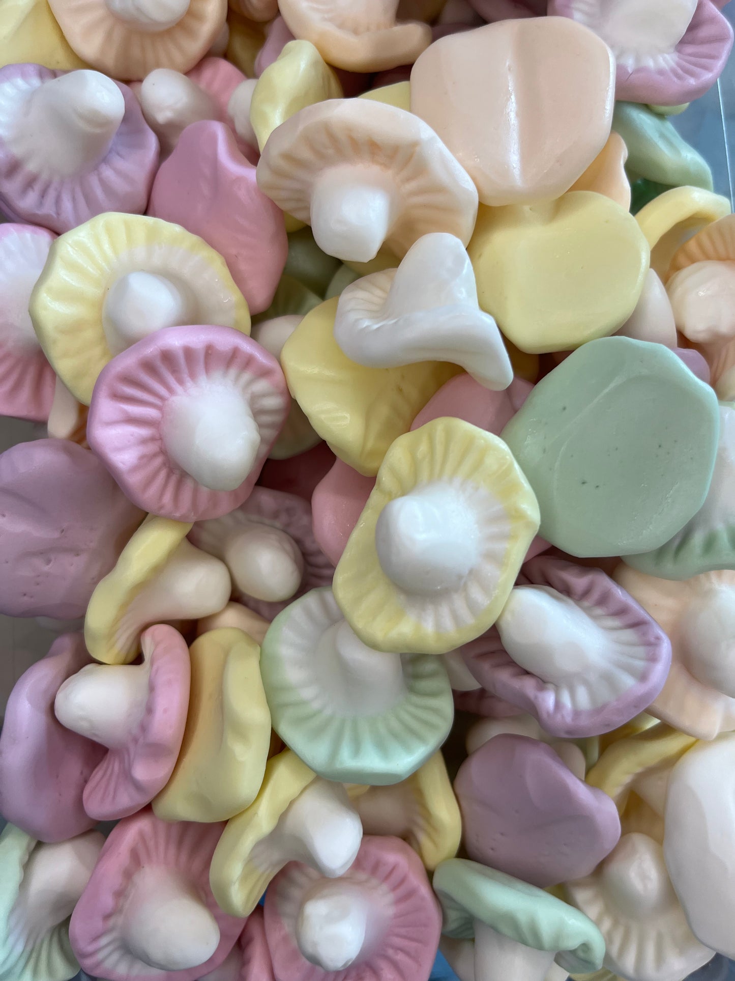 champignons frisia /100g